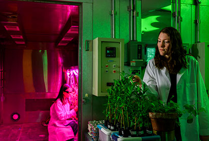 Students in an Environmental Engineering Grow Chamber. Links to Gifts That Protect Your Assets Students in an Environmental Engineering Grow Chamber. Links to Gifts That Protect Your Assets